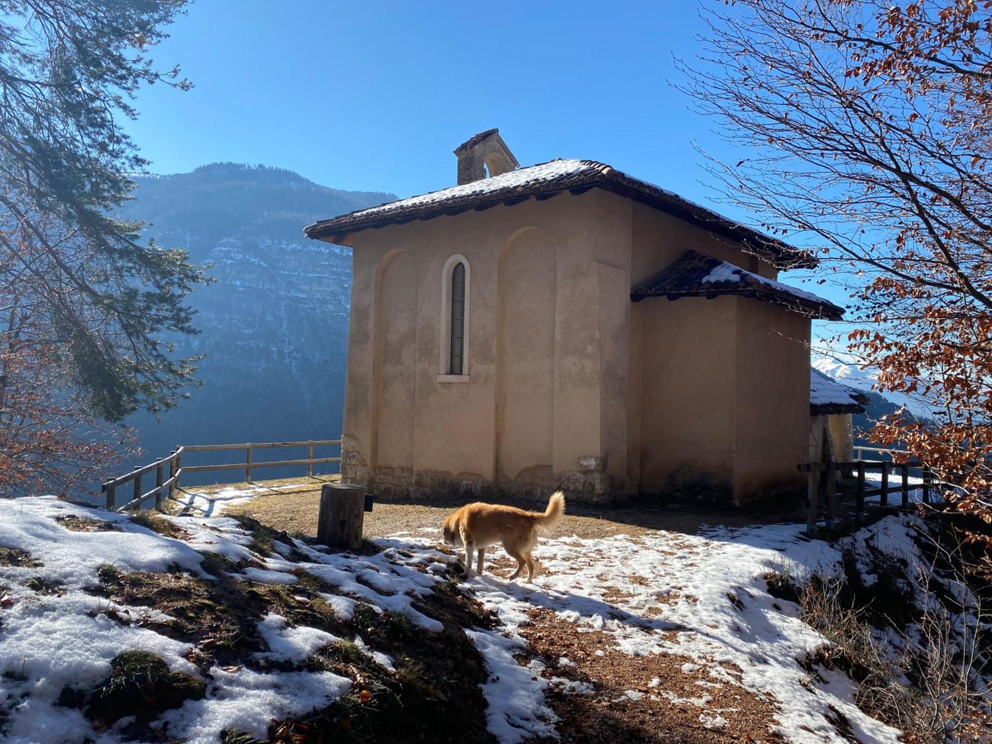 Cielo E Terra Chalet Zencheri Con Vista Panoramica Piazza  エクステリア 写真